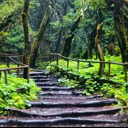 Casa Tajaraste 1 * Hermigua