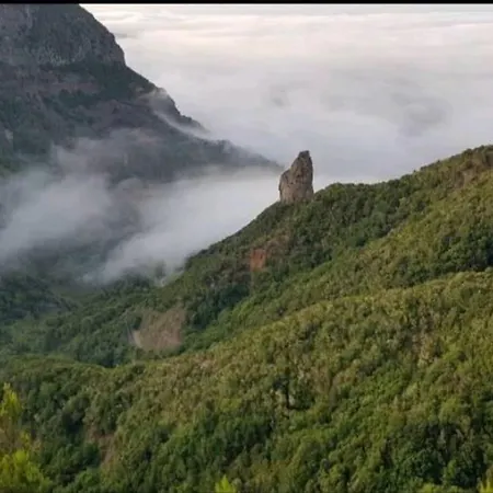 Casa Tajaraste 1 Tatil Evi *