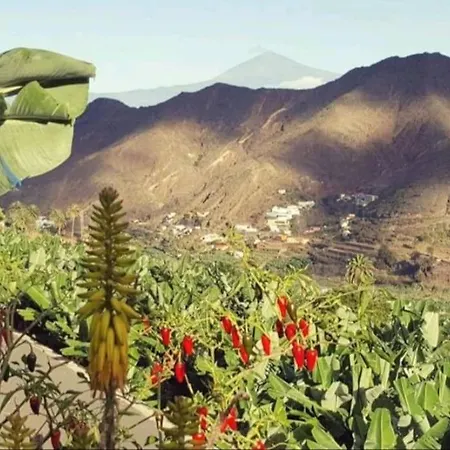 Casa Tajaraste 1 Tatil Evi