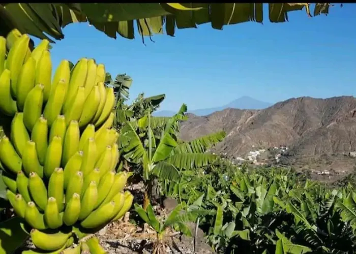 Nyaraló Casa Tajaraste 1 Hermigua